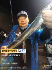 준내만갈치)텐빈~오늘 입항조황/한치 (금요일/일요일 예약가능합니다)