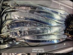 [진해] [20일입항] "내만갈치" 3지급덩치들이 퍽퍽퍽!! 씨알+마릿수…