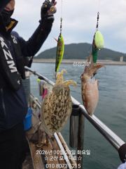 ■□● 2026.10.20 [군산 모비딕호] 갑오징어 굿 조황입니다