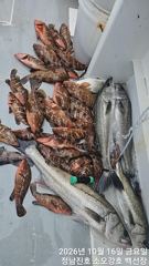 10/22일 목요일 백선장 붉바리외수질 출항합니다.