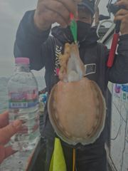 [먹물조황]20일팬텀호조황