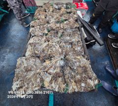 [격포] 10월20일 부안 한아름호 쭈꾸미