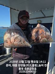 [통영] 통영 금정호 문어선상 대박조황 다시 시작합니다 내일과 주말 자리…