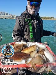 10/22 블랙드래곤 갑오징어 꾸준히 ^^