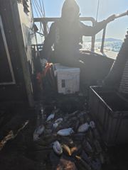 10월 22일 원스타호 갑오징어 조황