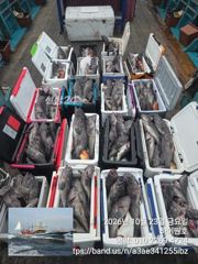 23일, 가을 먼침선,어초~개우럭~오늘도 굿굿~ 연이은 대박 쿨러 굿굿조황~군산낚시프라자 하이원호