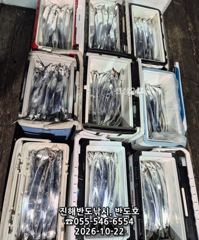 22일,내만갈치 씨알 커지고 ,내일8자리가능(토~예약가능)
