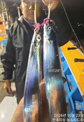 오늘내만갈치예약가능합니다(금토일내만)