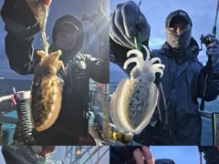크라운호 쭈,갑 실시간 조황(24일)