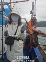 [통영] 통영 송현호))왕문어들로 봉다리마다 빵빵하게 채웠습니다