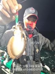 ★★ 10/ 24 [군산 대일피싱] 태평양호 갑오징어 대박조황~! 장원 140 이상~!
