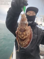 내만 갈치 용가리급 씨알이들 퍼담고~~(월욜부터 예약 가능)