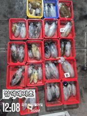 [팁런] 날씨좋은,수요일,출항 합니다(수요일,출항확정)