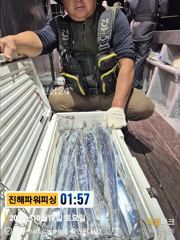 [진해] 먼바다[갈치/텐빈]대치사냥~기상좋은 수요일부터 달립니다[수.목.…