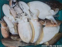 갑돌이7분수중전20수18수17수외104수대~박조황
