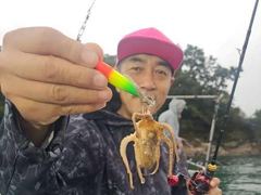 [서산,태안] 1025 사리물때 물정맞춰 낮은바닥에서 싸이즈 어마어마 갑오징어 쭈꾸미 내일도 고고~~ 10월 25일 일요일 6물 흐림사리물때 물량 많아 물살세지만물정맞춰서 낮은바닥에서우리끼리 #갑오징어배낚시#안면도배낚시내일은 더더욱 자알 뽑아주세요~=안면도 황금백호 중앙펜션 예약안