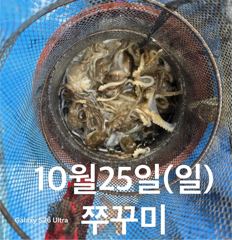 10월 25일(일) 조황사진