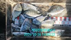 [부산] 가덕천성진양 오늘조항 20261026 월
