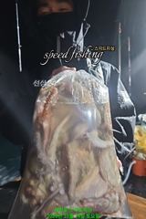 24일 씨알 좋은 야간 문어 조황