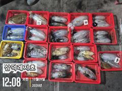 [통영] [팁런]k,k,좋은날씨,출항합니다(수요일,소수인원,출항확정)