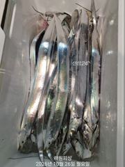 [진해] 내만갈치 씨알이 굵직 굵직합니다 목요일 예약가능합니다