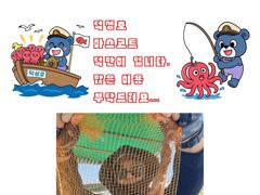 삼천포덕성호 돌문어, 주꾸미 출조 예약 받습니다.(2026년 10월 28일 조황사항)
