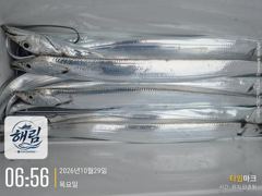 ((해림1호)) 내만권 갈지~감성돔.마릿수~