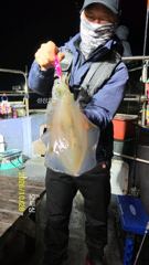 무늬팁런 k오버.k,무시 마리수로 올라탑니다~