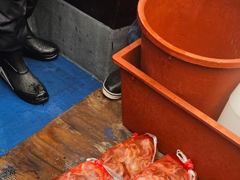 [포항] 29 포항쭈꾸미 초대박 내일금 토.일 오전8시