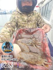 10/29 블랙드래곤 갑오징어 꾸준히 ^^(낼자리여유)