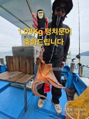 삼천포 마린보이 10. 29. 목요일 주간문어 오붓하게 다녀왔습니다.