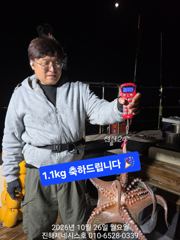 문어] 오늘 야간출항확정 예약가능~ 대물잡으러 오늘도 고고!!~