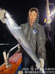 진도제이제이 10월29일 진도 먼바다 6지 대갈치 조황입니다