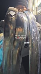 [통영대교피싱]우당탕~실시간 일요일부터 자리여유