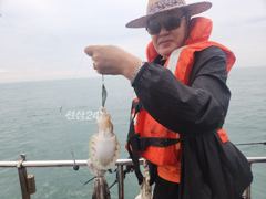 종일배 보다 많이 잡는 시간배....왜??