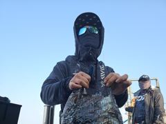 10/30. 군산. 웅비1호. 갑오징어. 그리고, 너울과 바람.