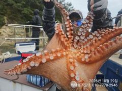 "돌문어"2600g1500g1400g1300g1200g1200g외 중치. 대물들 연속힛트!! 마릿수조황