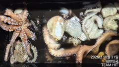 탑클라스호. 야간돌문어조황 !!씨알이. 씨알이 죽여줘용~^^