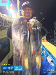 갈치(텐빈. 텐야) 조황! (일요일 예약가능)
