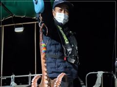 야간문어 조황~ 일욜 07시 주간문어전투낚시