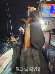 [진해] 준내만 텐빈 은빛 갈치 3지급 느나느나 조황!! 내일 자리여유많…