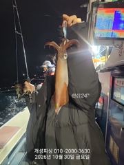 [진해] 준내만 텐빈 은빛 갈치 3지급 느나느나 조황!! 내일 무조건 출…