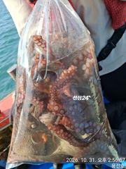 악천후속에서도선전하신 부녀님7.8.수
