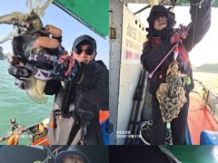 [사천] 31일,쭈꾸,왕갑돌,조황,삼포김선장,삼천포